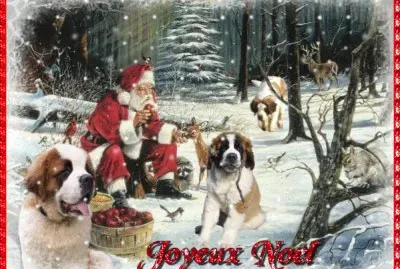 Pare NoÃ«l