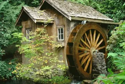 Old Forest Mill
