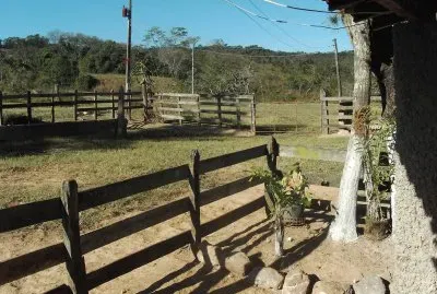 Fazenda Potreiro 01