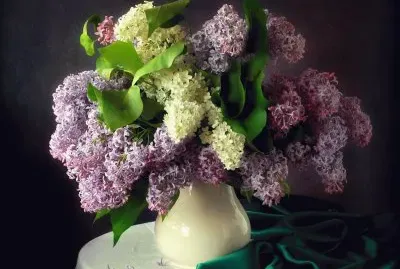 Lilac in Vase