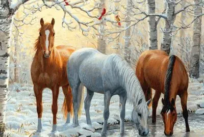 Horses