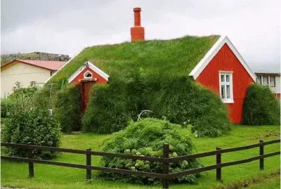 who mows the lawn