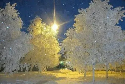 FELIZ NAVIDAD jigsaw puzzle