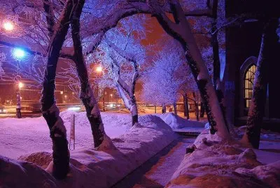 פאזל של holiday