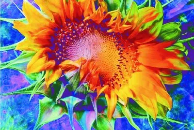 פאזל של BELLEZA DE FLOR