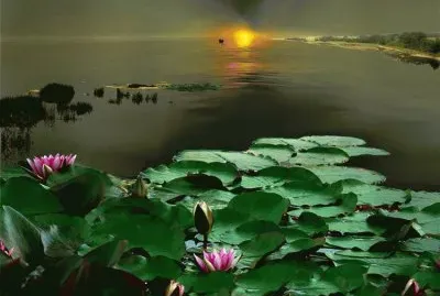 paisagem jigsaw puzzle