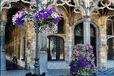 City Hall Street  Belgium jigsaw puzzle