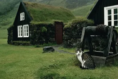 Alwyas Green jigsaw puzzle