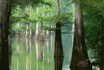 פאזל של White River, Arkansas