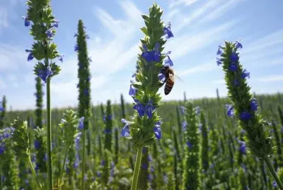 This album has  very beautiful and awesome pictures