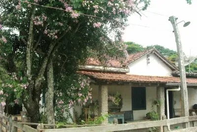 Fazenda jigsaw puzzle