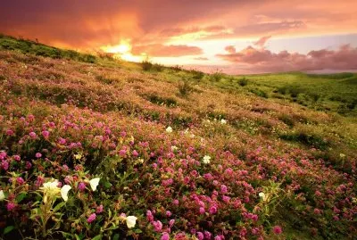 por-do-sol