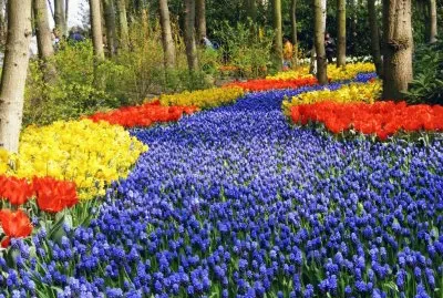 passagem de flores