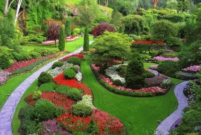 Beautiful Garden