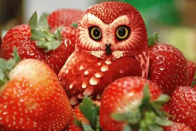 fresas
