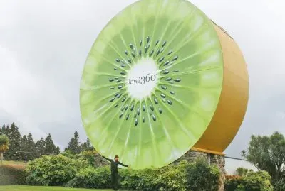 Kiwi