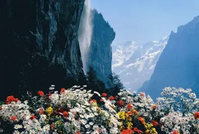 paisaje jigsaw puzzle