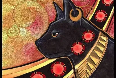 Gatos