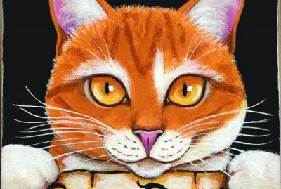 Gatos