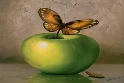 maravillosa jigsaw puzzle