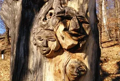 Castagno jigsaw puzzle