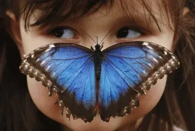MORPHO AZUL jigsaw puzzle