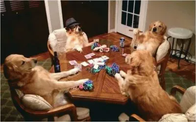Dogs playing card