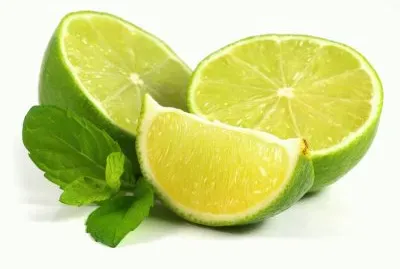 LIMONES Y HIERBABUENA jigsaw puzzle