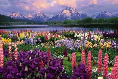 flores