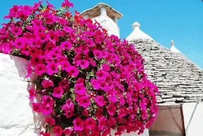 פאזל של alberobello