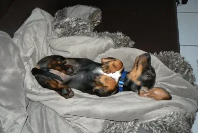 La vie est dure
