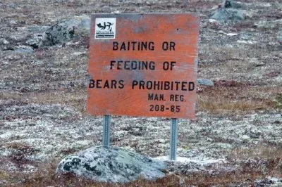 Warningsign for  Ice  Bears  Artic Circle