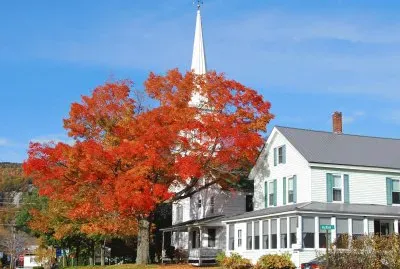 פאזל של Autumn Leaves