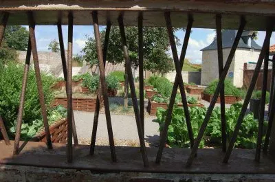 Jardin du nord
