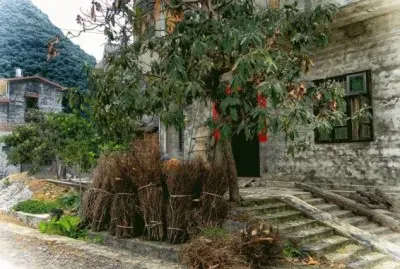 Chinese Farmhouse  Anhui  China