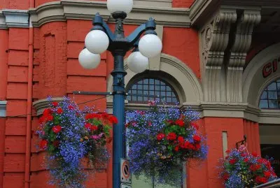 Hanging Baskets