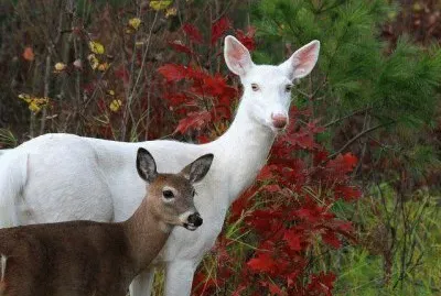 MADRE E HIJO