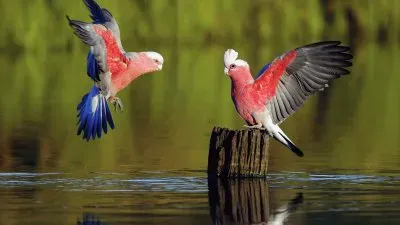 I love the colors!