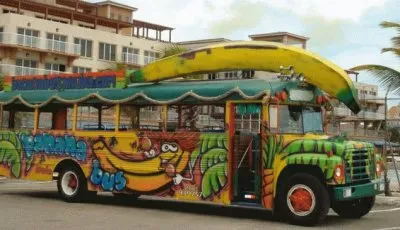 Sightseeing Bus Oranjestad  Aruba