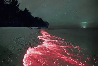 Red Ocean jigsaw puzzle