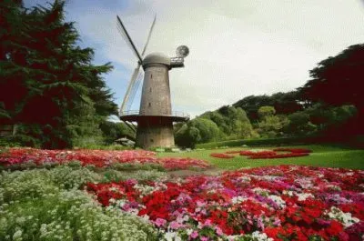 Golden Gate Park Windmill-San Francisco jigsaw puzzle