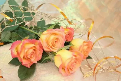 Roses