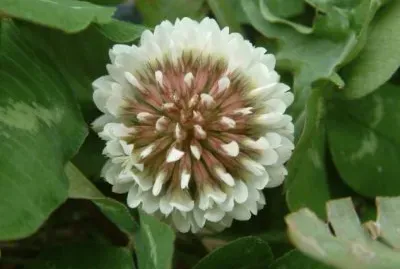 Spring in Torres del Paine  Patagonia