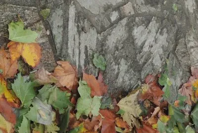 OtoÃ±o jigsaw puzzle