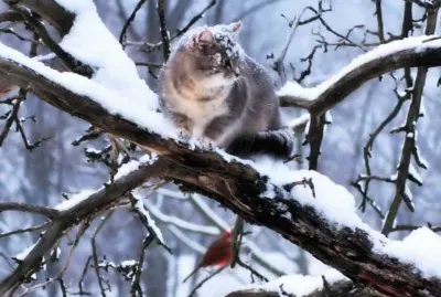 winter