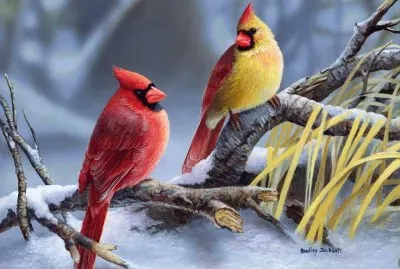 winter