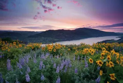 Amazing Sunset