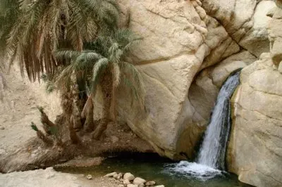 Small Oasis   in the Sahara