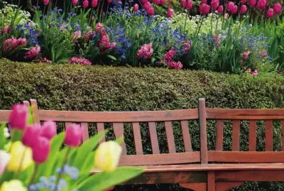 JardÃ¬