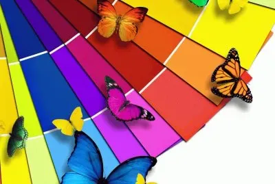 פאזל של Rainbow of Butterflies